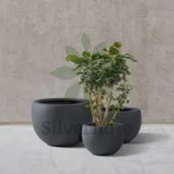 Lightweight Concrete Planter in California